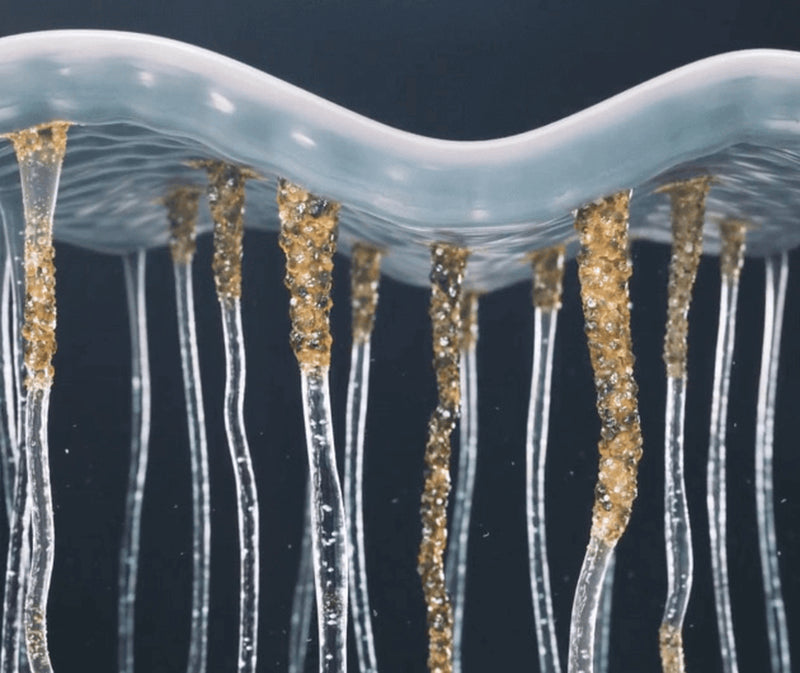 A.G.E. Interrupter Advanced